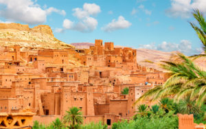 Why Ciconia Ciconia Travel Why Ciconia Ciconia Travel